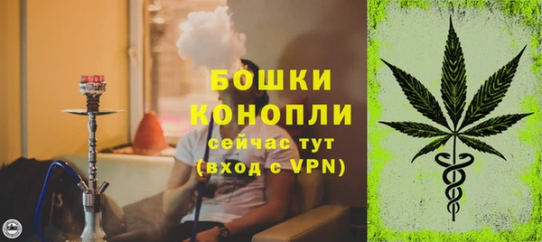 ГАЛЛЮЦИНОГЕННЫЕ ГРИБЫ Белоозёрский